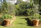 Wangara WAvegetable-gardens-3.jpg; ?>